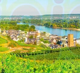 Ren Nehrinde Noel Pazarları Charter (Str-Cgn)