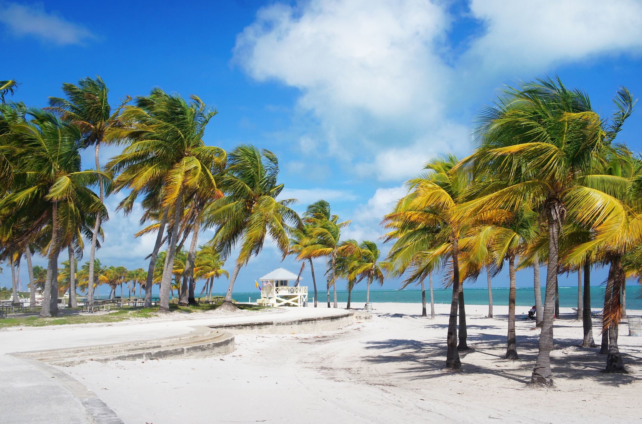 Miami Turu Rotası