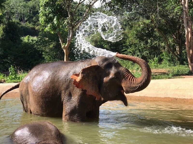 Fırsat Bangkok & Phuket & Pattaya Turu