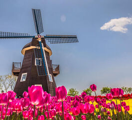 İzmir'den Direkt Sefer ile Yılbaşı Özel Almanya & Belçika & Hollanda Turu Noel Pazarları Rotası