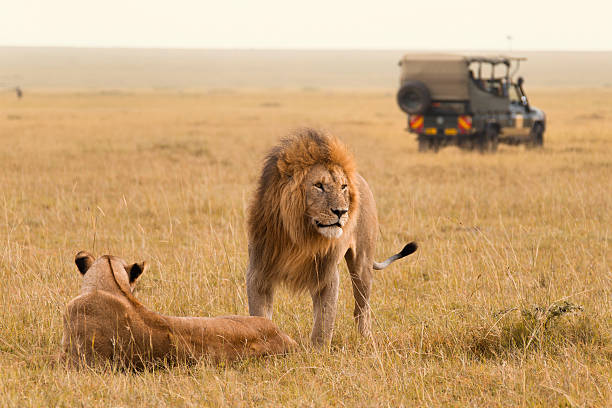 Kenya Safari Turu Air Arabia Havayolları ile Her Pazar Hareket