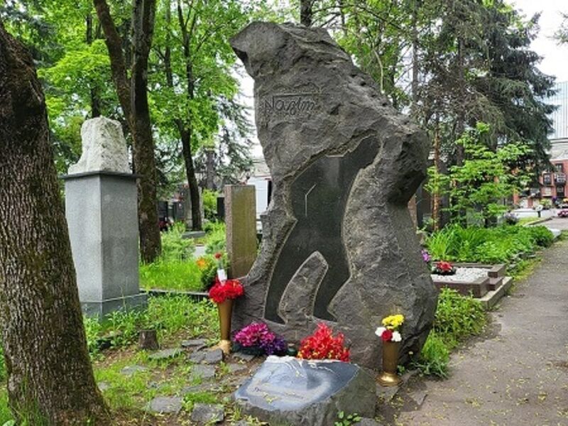 5* Ms Alexandra ile Muhteşem Volga Nehri & Beyaz Geceler Turu Türk Havayolları ile 8 Gece 9 Gün  TCR001