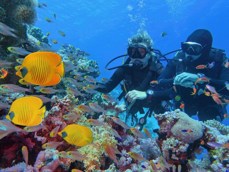 Ankara Çıkışlı Kahire Sharm El Sheikh Turu 4 Gece - Kahire Şehir Gezisi Dahil