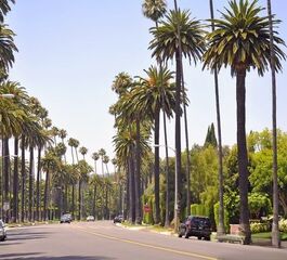 LOS ANGELES 2026 AF (LAX-LAX) 5 GECE LOS ANGELES (5)