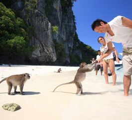 Phuket-Pattaya-Bangkok Turu 7 Gece 9 Gün Sömestre Özel Emirates Havayolları İle