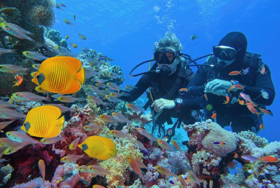 Ankara Çıkışlı Kahire Sharm El Sheikh Turu 3 Gece - Kahire Şehir Gezisi Dahil