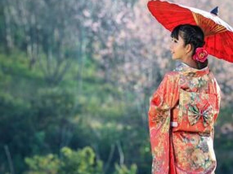 Yılbaşı Özel Japonya & Kore Turu Mistik Rotalar