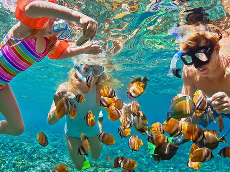 Phuket-Pattaya-Bangkok Turu 7 Gece 9 Gün Sömestre Özel Emirates Havayolları İle