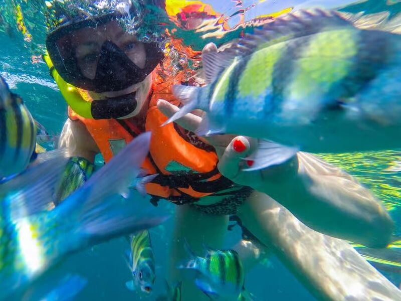 Phuket - Pattaya - Bangkok Turu 7 Gece Ekstra Turlar Dahil Saudi Havayolları İle