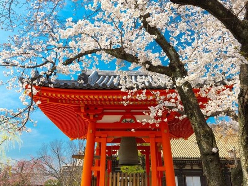 Süper Promo Direkt Sefer İle Japonya Turu