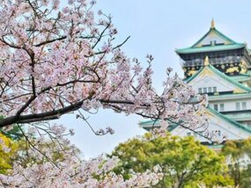 Süper Promo Direkt Sefer İle Japonya Turu