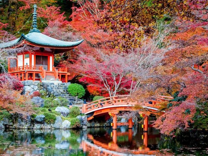 Süper Promo Direkt Sefer İle Japonya Turu