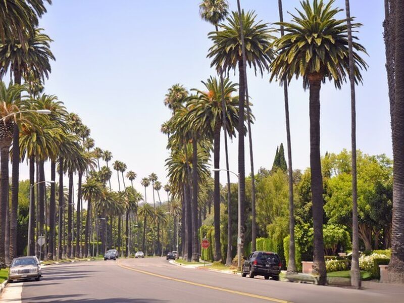 New York & Los Angeles & Las Vegas & San Francisco Turu Rotası (9 Gece)