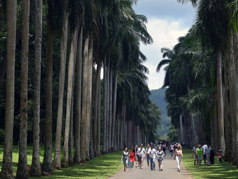 Sri Lanka Turu Air Arabia İle  Her Pazar Hareket 7 Gece