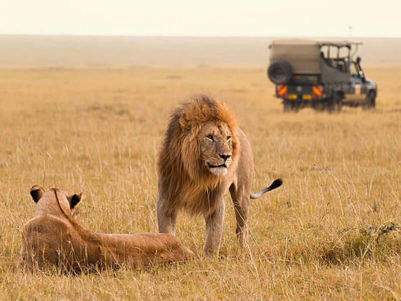 Kenya Safari Turu Air Arabia Havayolları ile Her Pazar Hareket